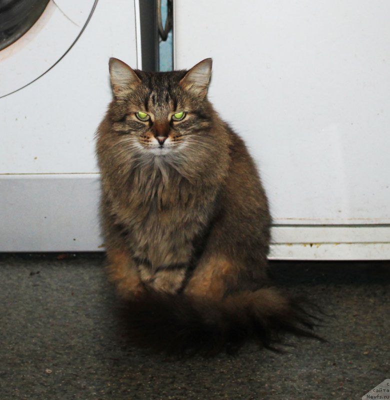 Фотография № 197374