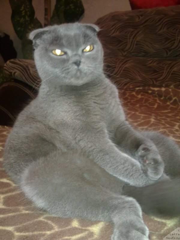 Фотография № 197435