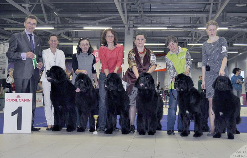 Фотография № 197436