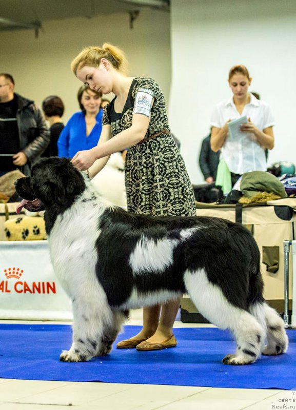 Фотография № 197440