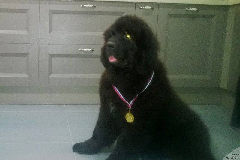 Фотография № 197460