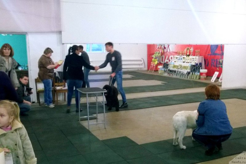 Фотография № 197461