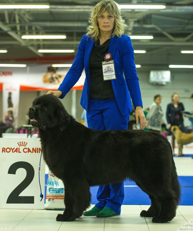 Фотография № 197476