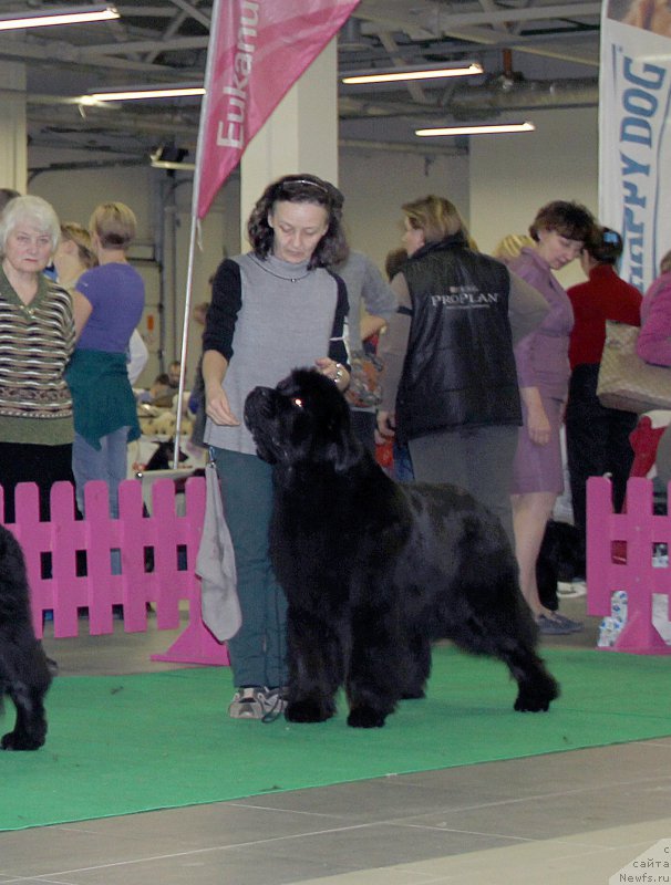 Фотография № 197491