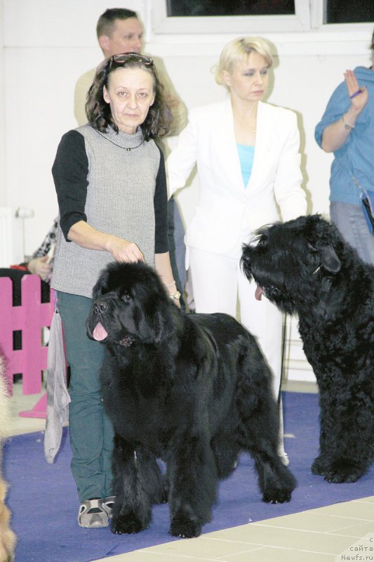 Фотография № 197492