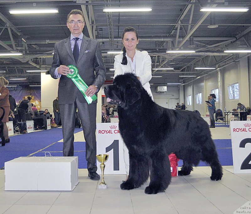 Фотография № 197493