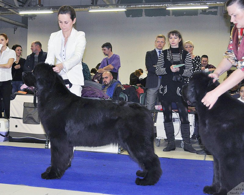 Фотография № 197494