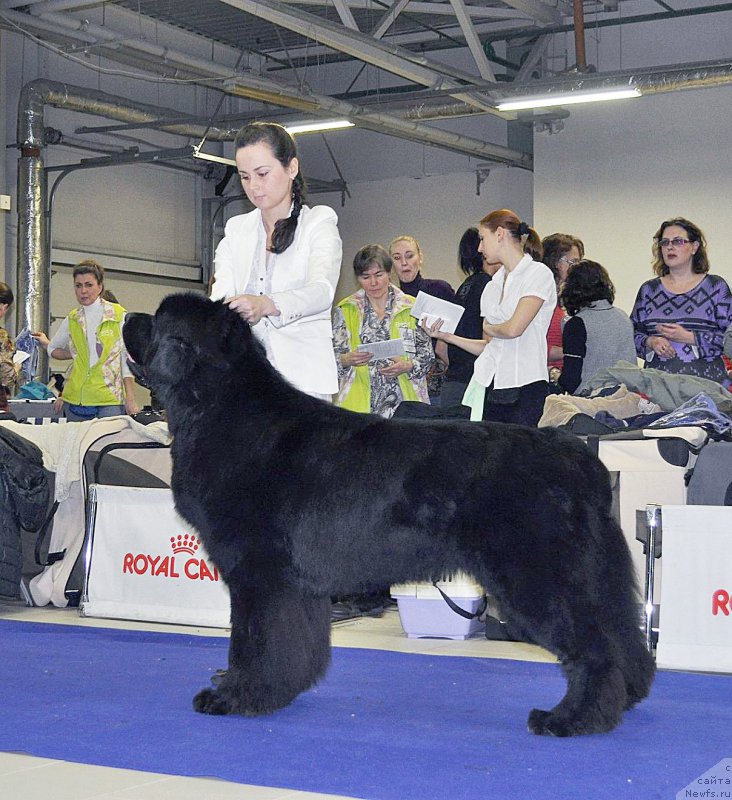 Фотография № 197497