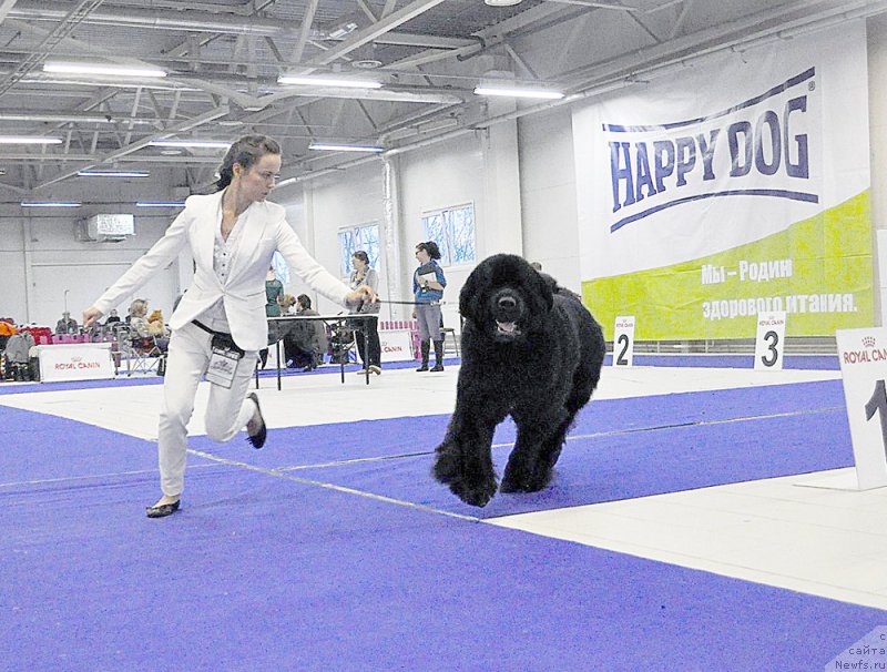 Фотография № 197498