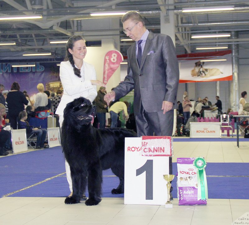 Фотография № 197500