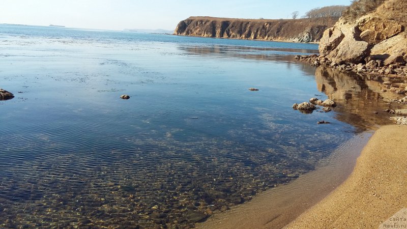 Фотография № 197513