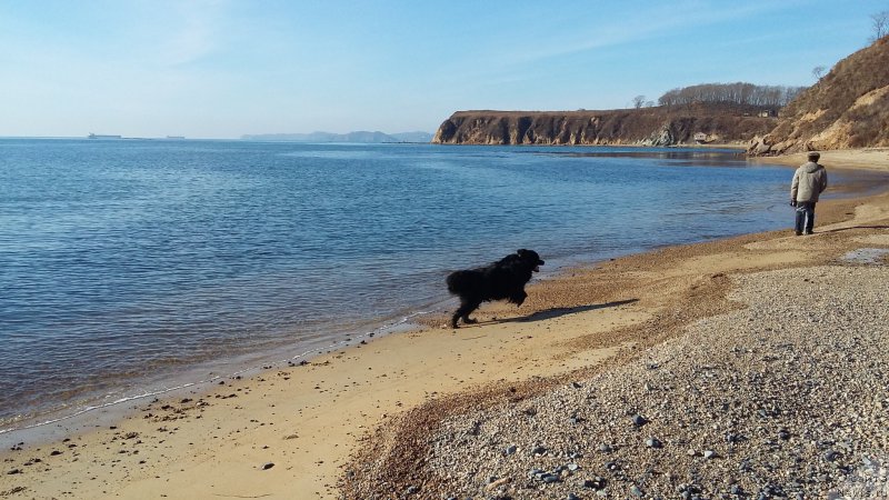 Фотография № 197528