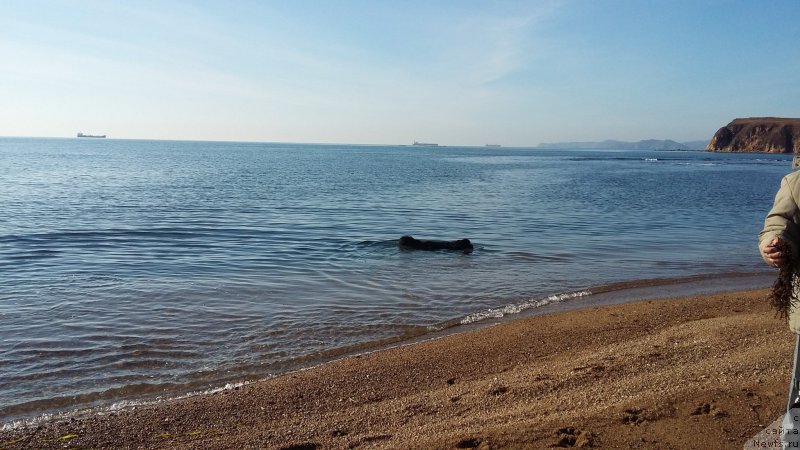 Фотография № 197530