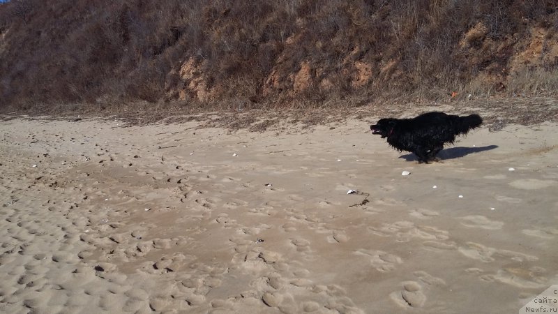 Фотография № 197532