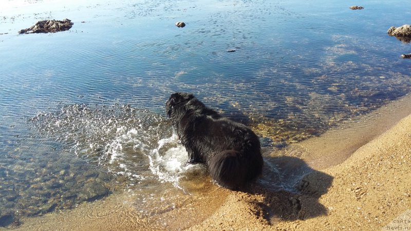 Фотография № 197533