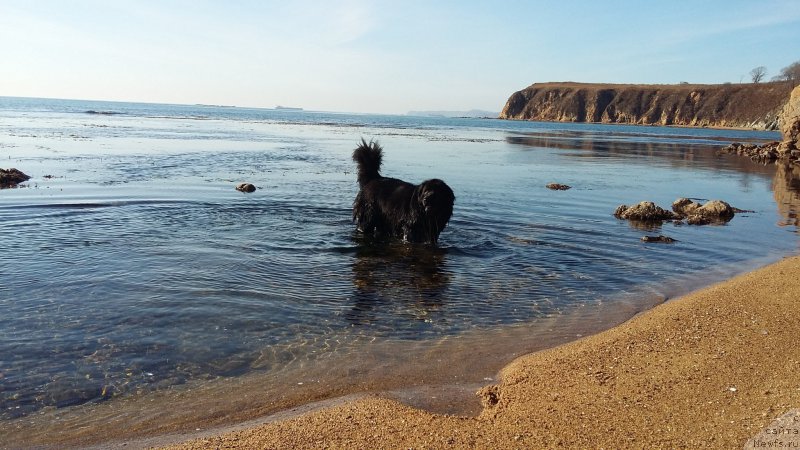 Фотография № 197535