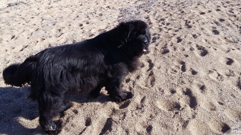 Фотография № 197536