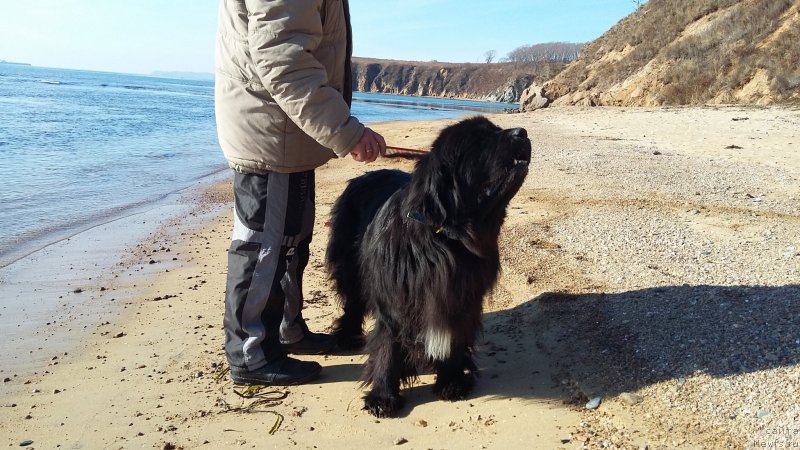 Фотография № 197537