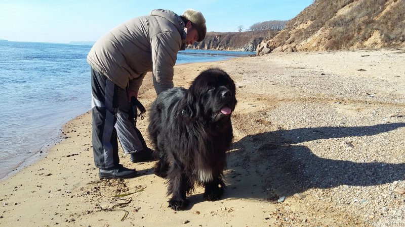 Фотография № 197538