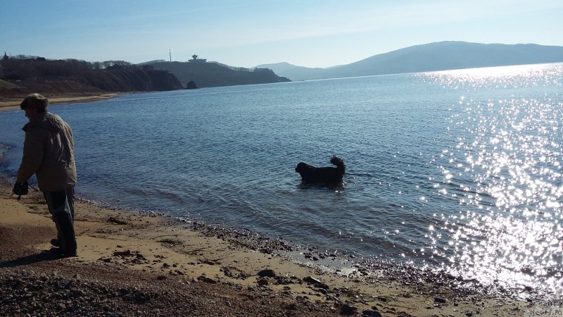 Фотография № 197539