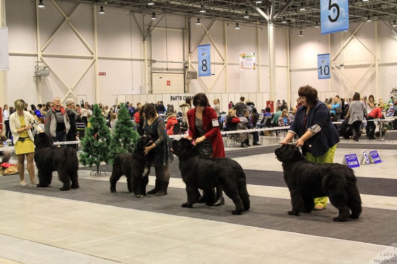 Фотография № 197554