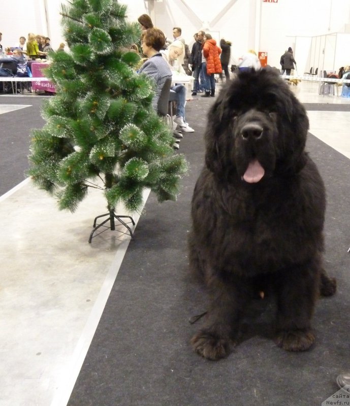 Фотография № 197560