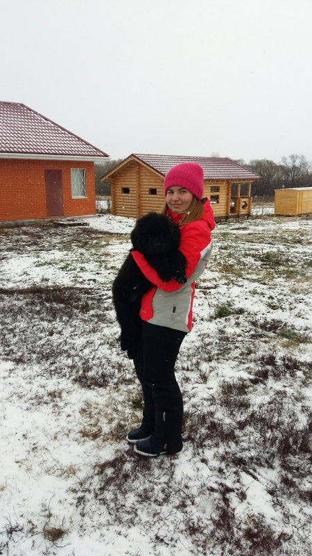 Фотография № 197563