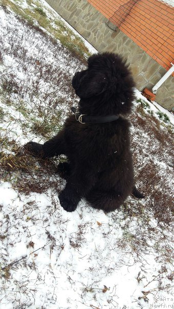 Фотография № 197565