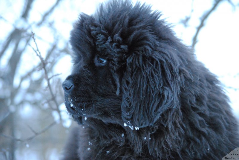 Фотография № 197572