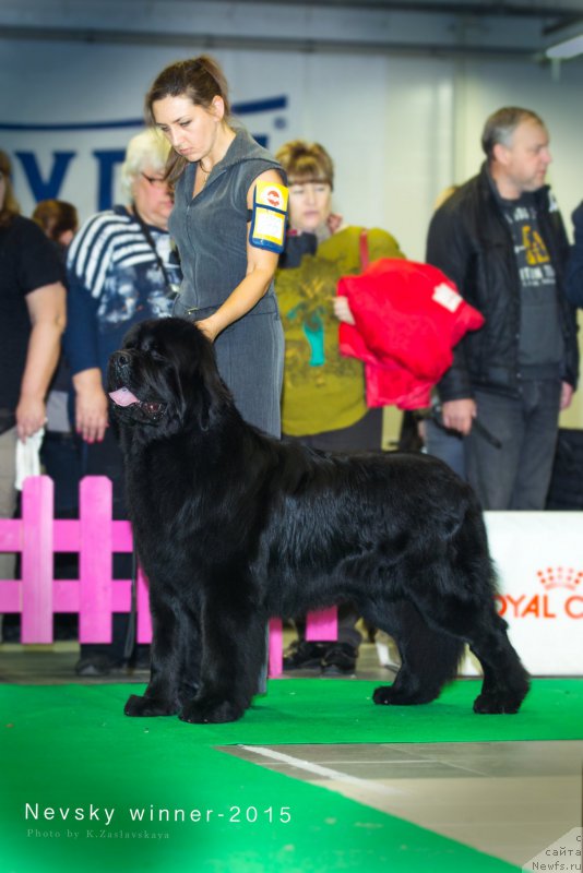 Фото: Viktor Hrischanovich (Виктор Хрищанович)