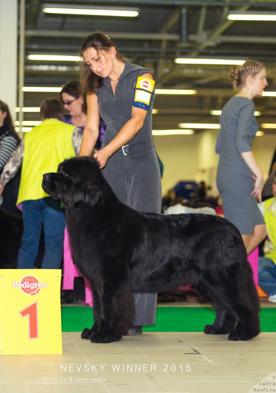 Фотография № 197638