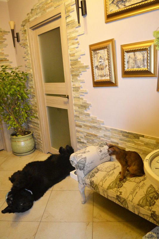 Фотография № 197646