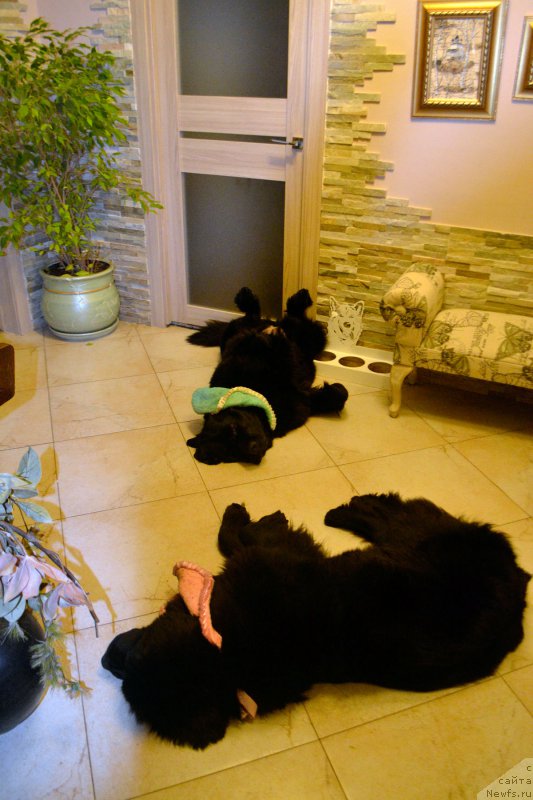 Фотография № 197647