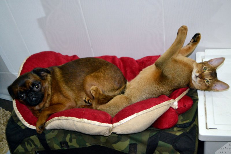 Фотография № 197651