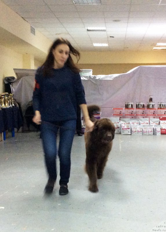 Фотография № 197654