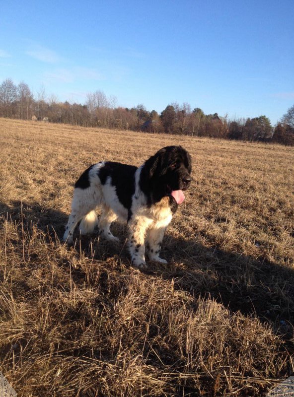 Фотография № 197708