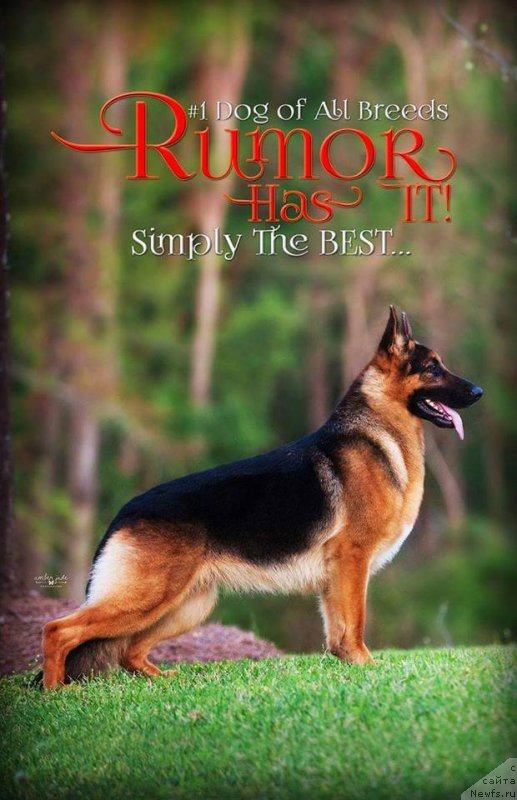 Фотография № 197763