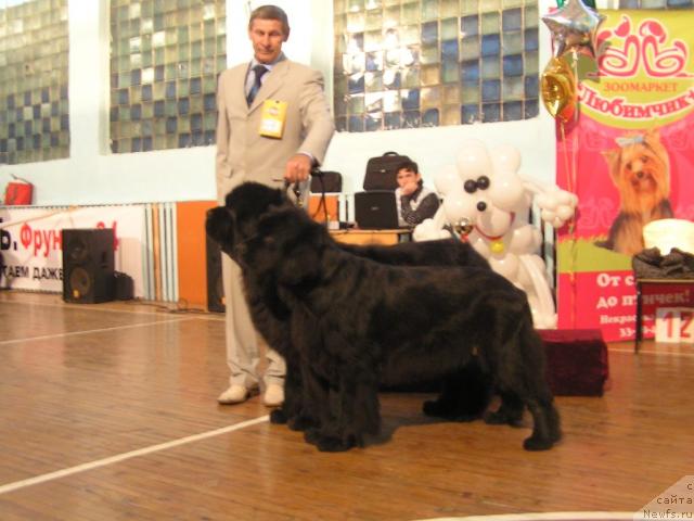 Фотография № 19779