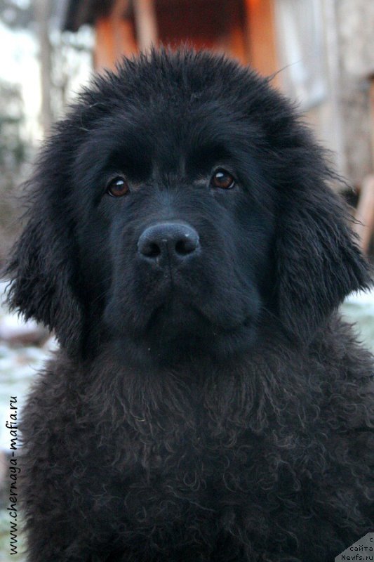 Фотография № 197836