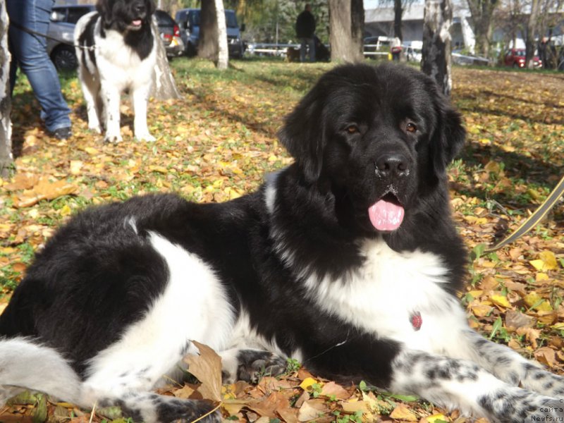 Фото: Anna Butyilkina (Анна Бутылкина)