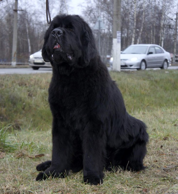 Фотография № 197846