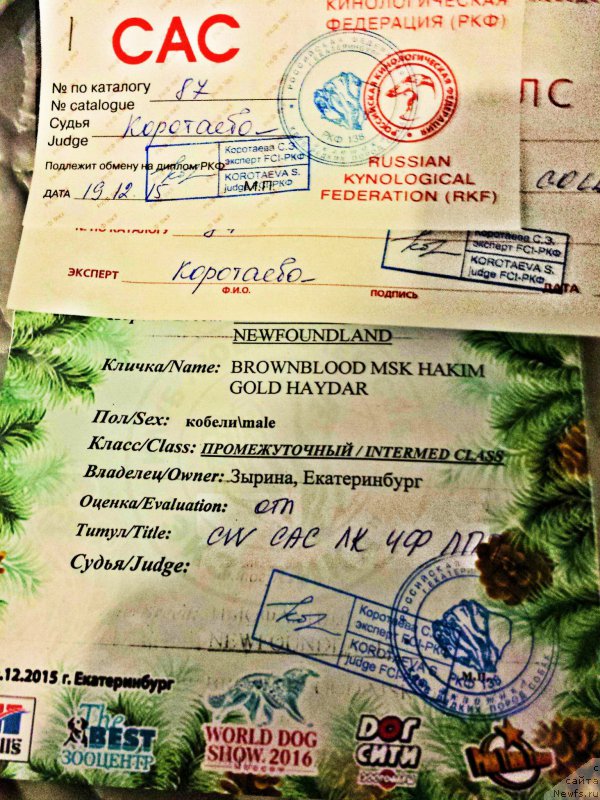 Фотография № 197860