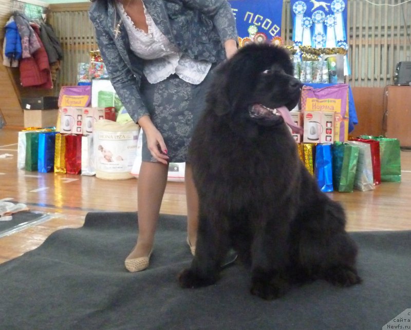 Фотография № 197864