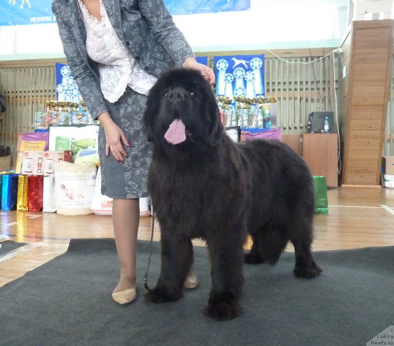 Фотография № 197865