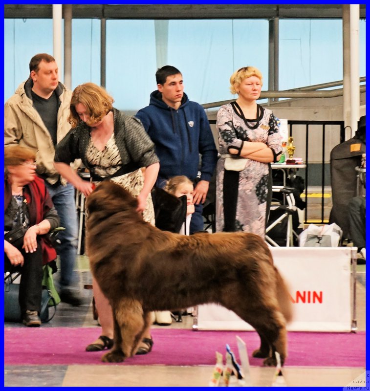 Фотография № 197868