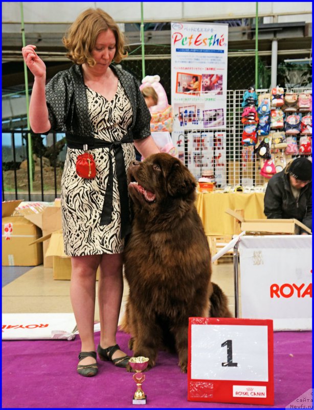 Фотография № 197869