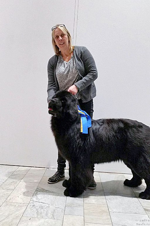 Фотография № 197876