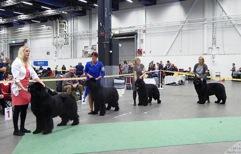 Фотография № 197878