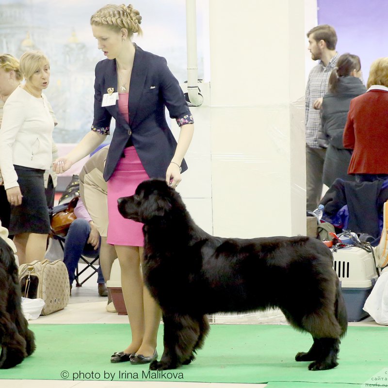 Фотография № 197880