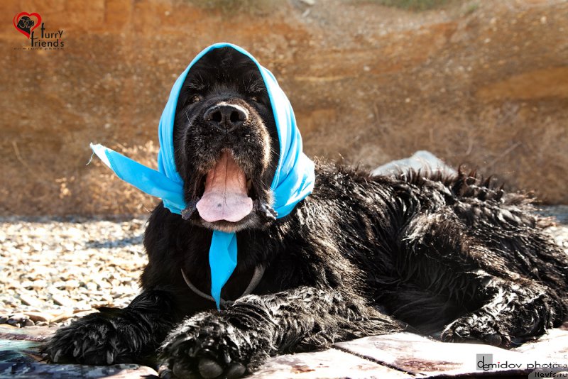 Фотография № 197882